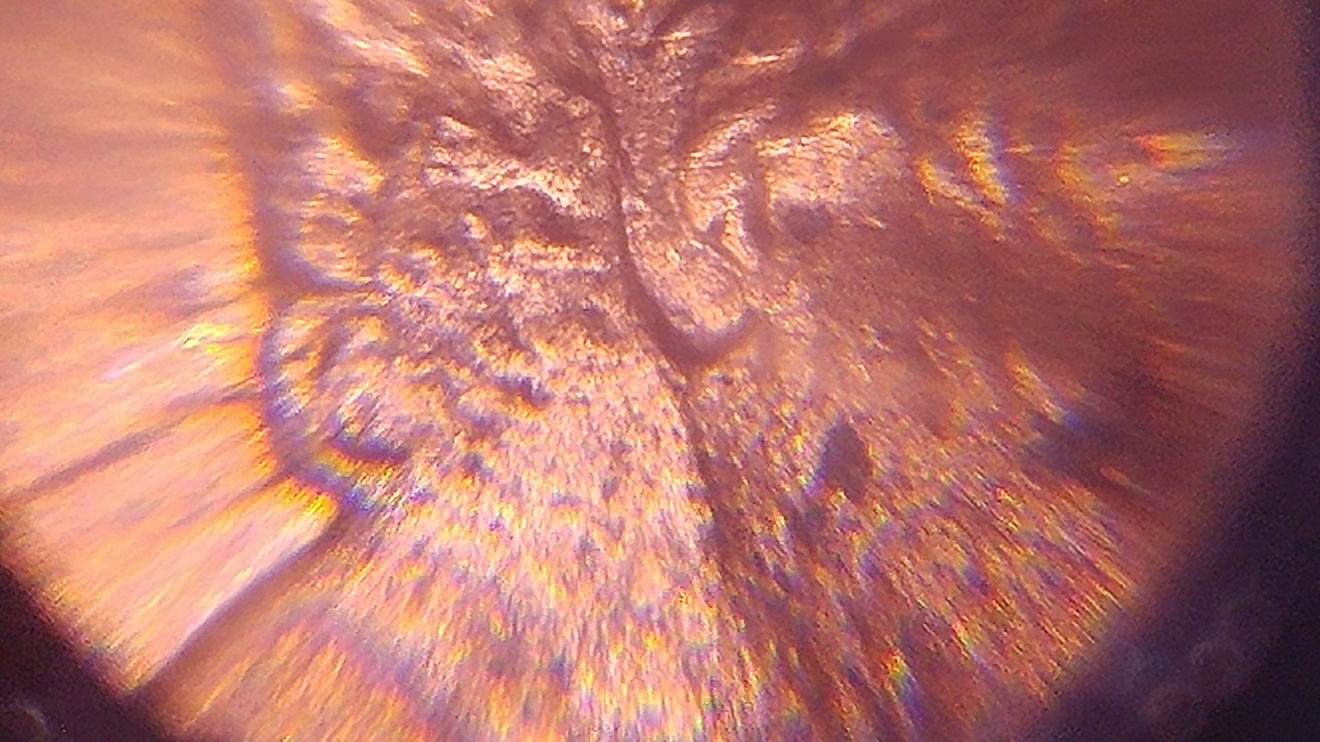 0426170515a.jpg