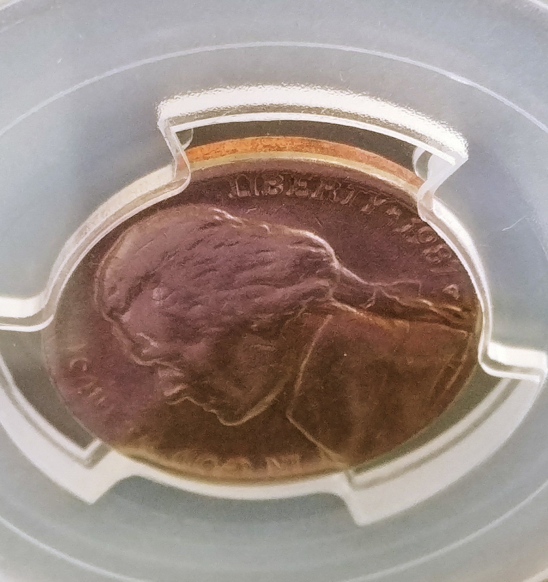 0430181504_HDR.jpg