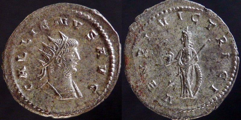 0440-230.jpg