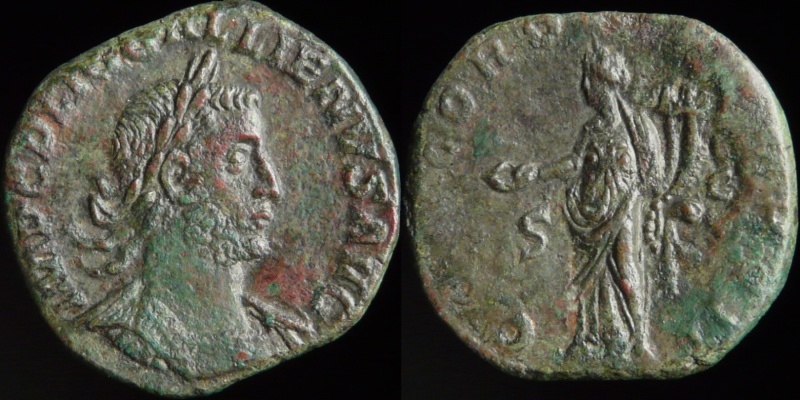 0440-310.jpg