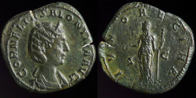 0441-310.jpg