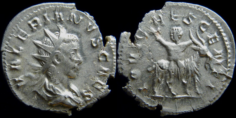 0442-220.jpg