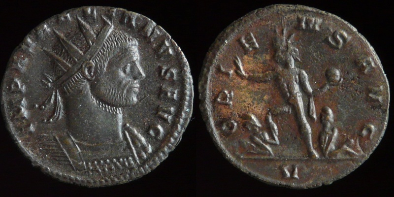 0490-305.jpg