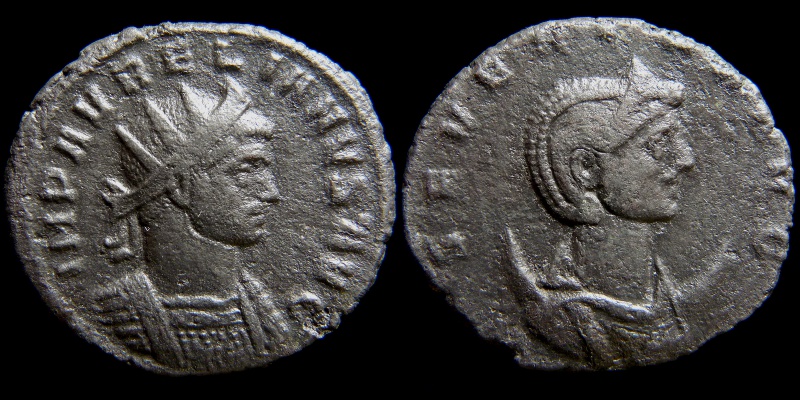 0490-390.jpg