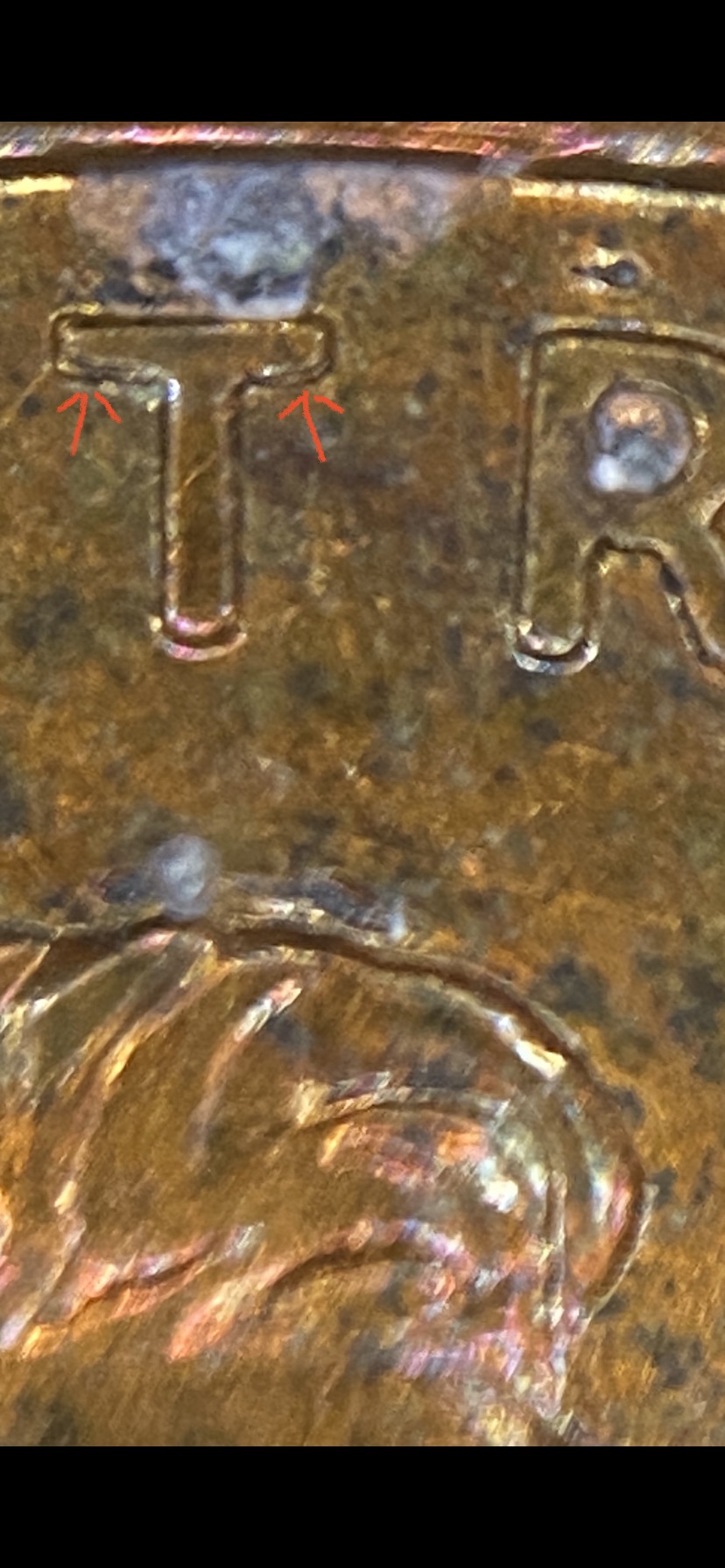 04C02F54-5F21-45F4-B557-AF558FF84751.jpeg