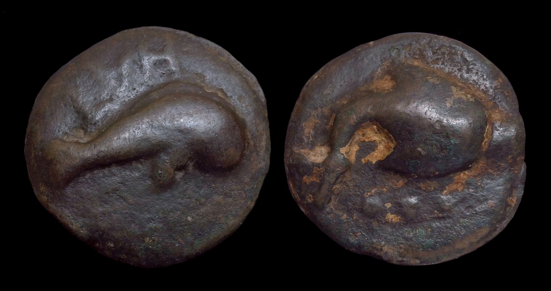 05 PICENUM Hatria - AE Aes Grave Teruncius Dolphin Stingray 4405.JPG