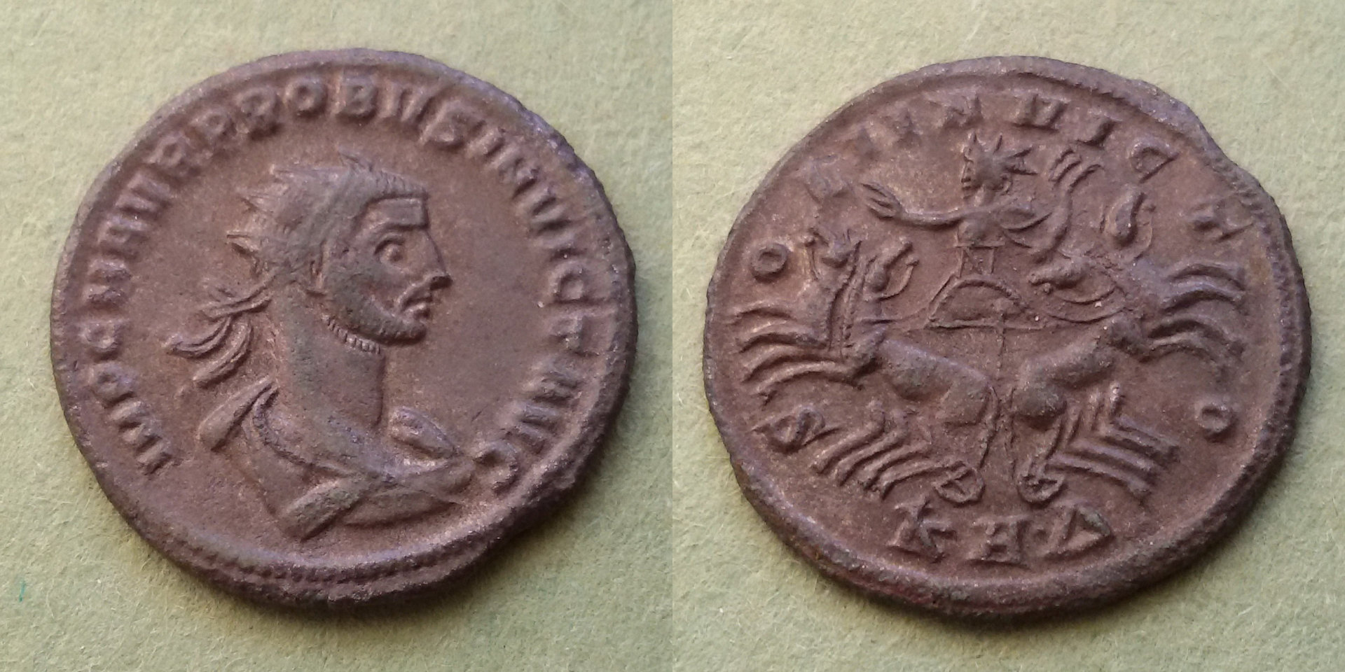 05 Probus.jpg