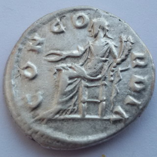 050-05B.jpg
