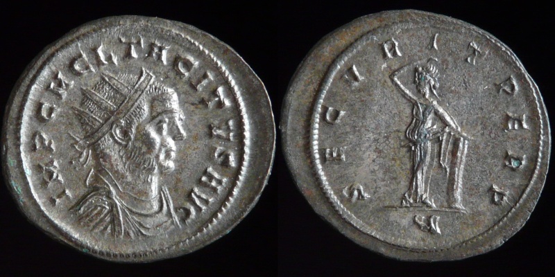 0500-310.jpg
