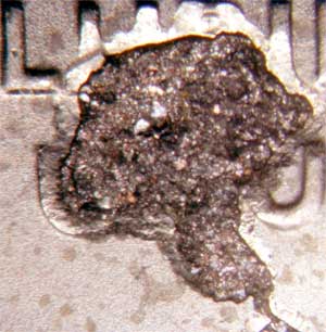 0503_Droppedphoto1_lg.jpg