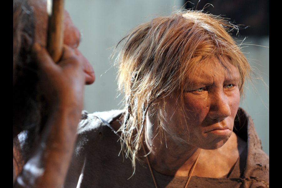0506-Neanderthal-woman-genes.jpg