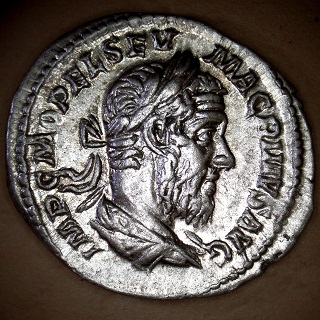 054-01A-Macrinus.jpg