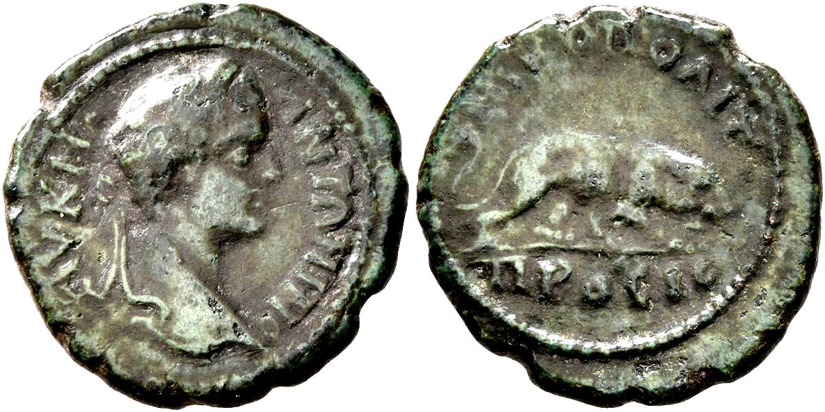 #055_nikopolis_caracalla_HrHJ(2018)8.18.53.6cf.jpg