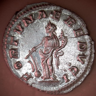 056-07B.jpg