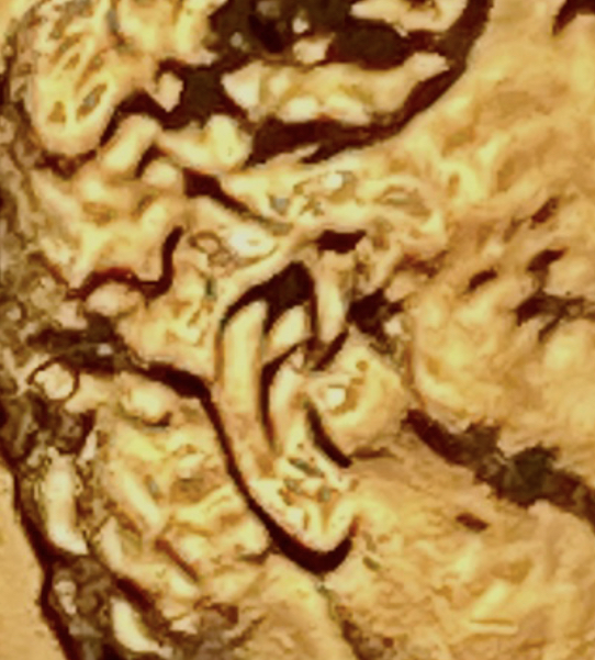 05B8C0F9-C6CC-4D0F-8A70-44352EC07108.jpeg