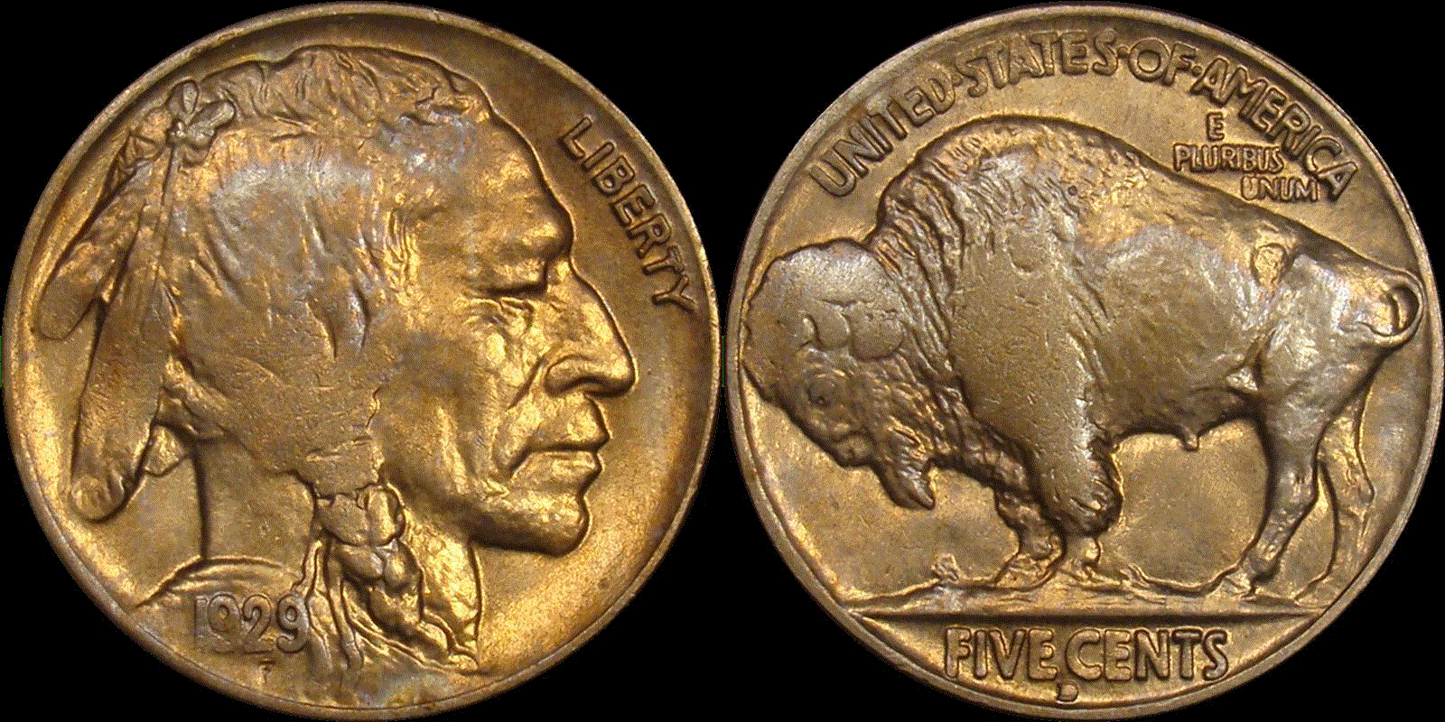 05c 1929-D full 01.gif