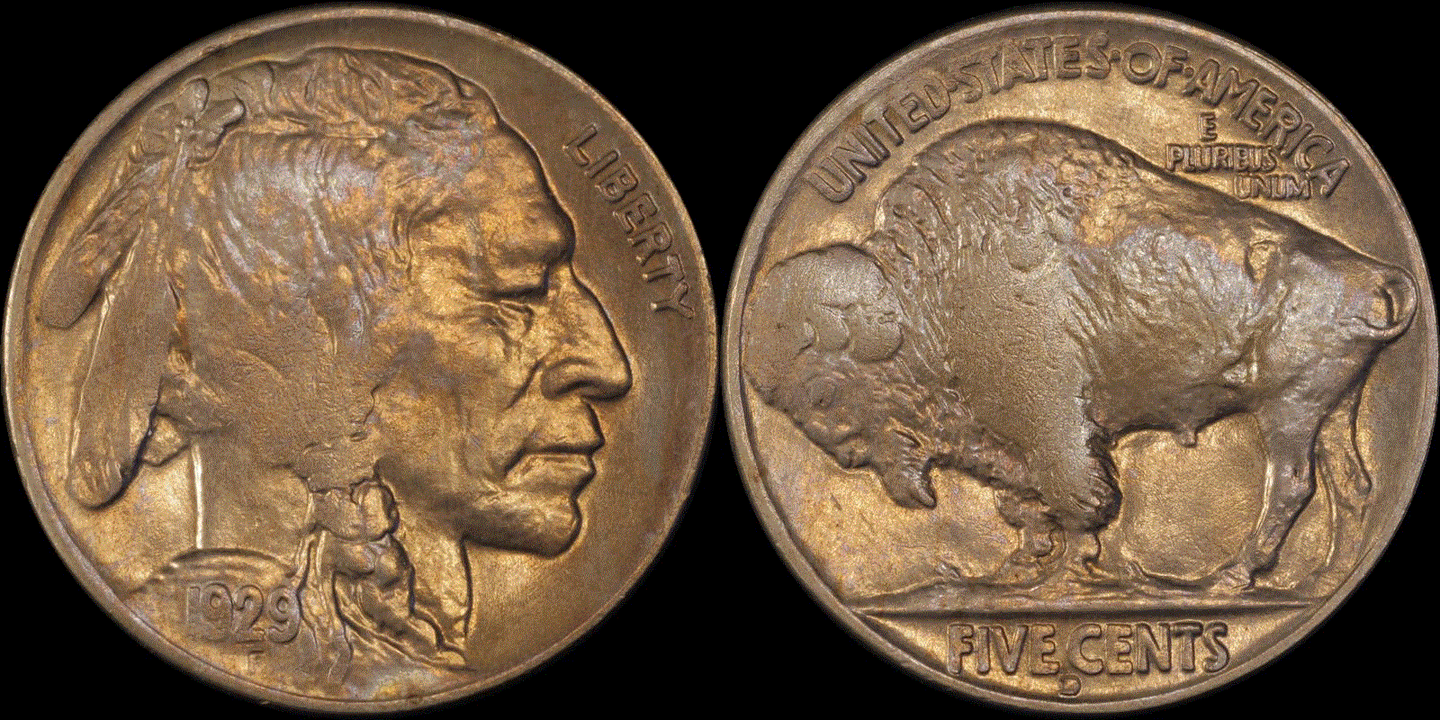 05c 1929-D full 01.gif