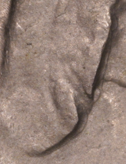 05c 1929-S Detail obverse 01.jpg