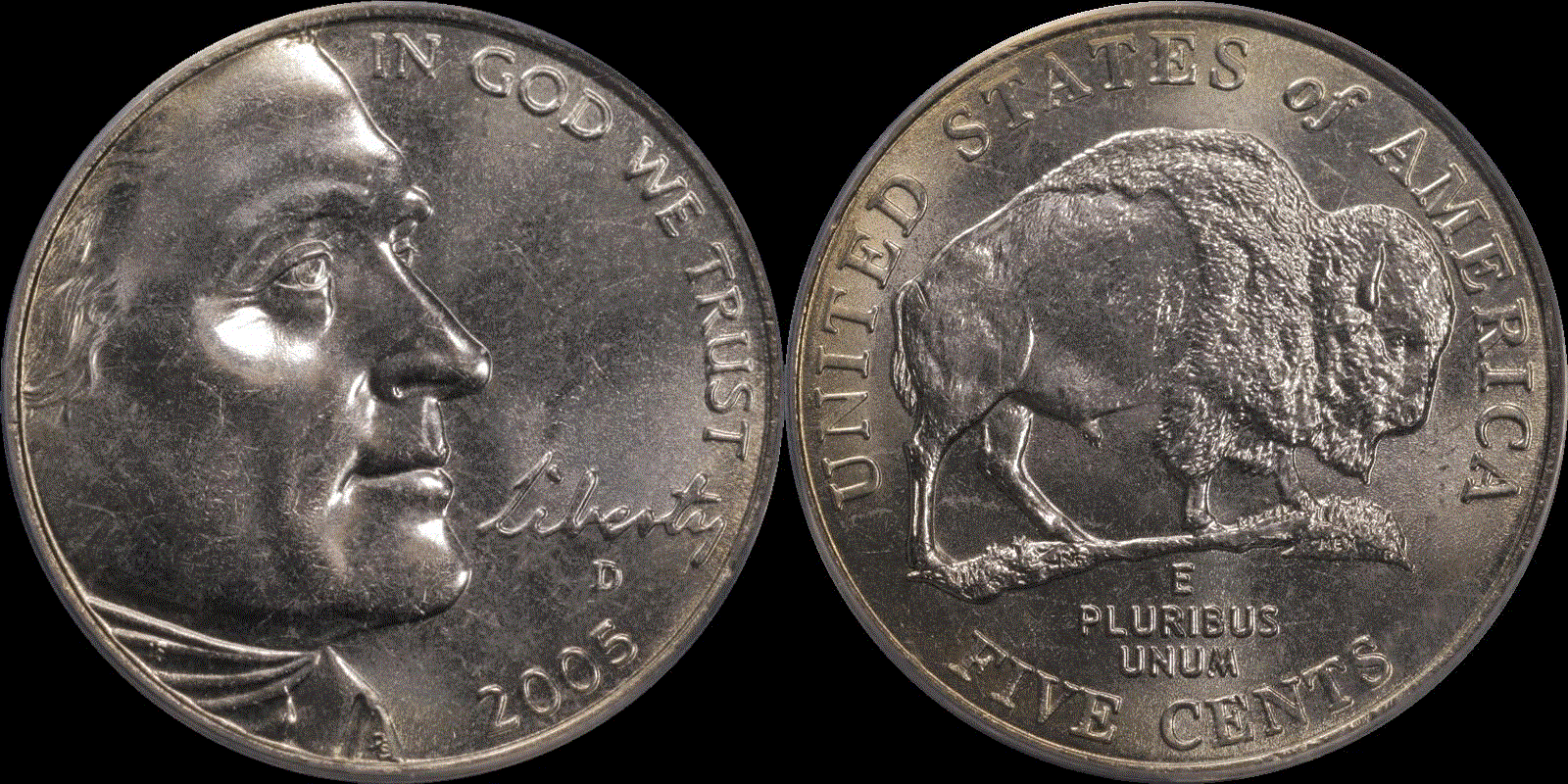05c 2005 Bison #02 full 01.gif