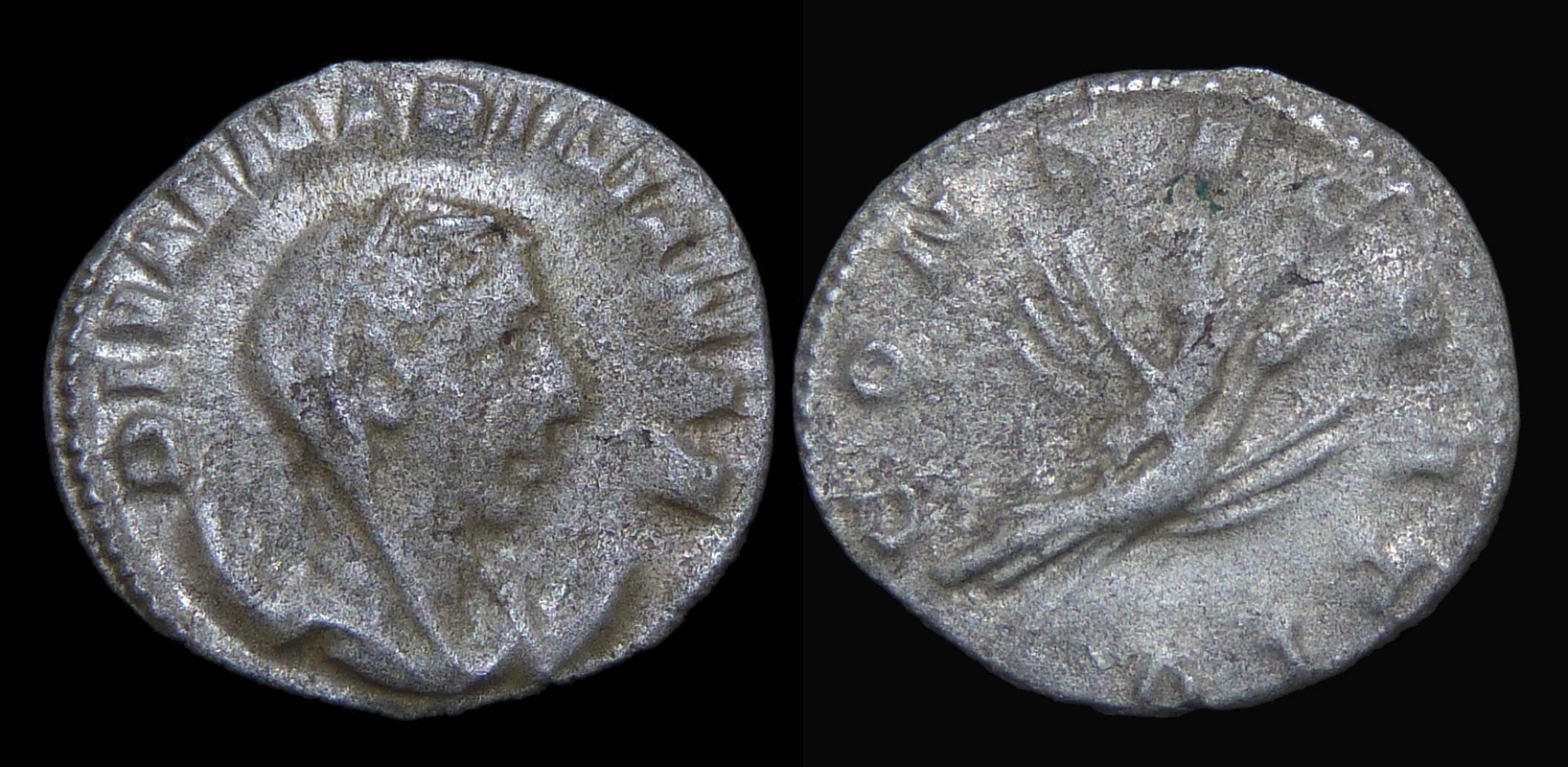 06 - $51-60 Mariniana Diva - Consecratio 3956.jpg