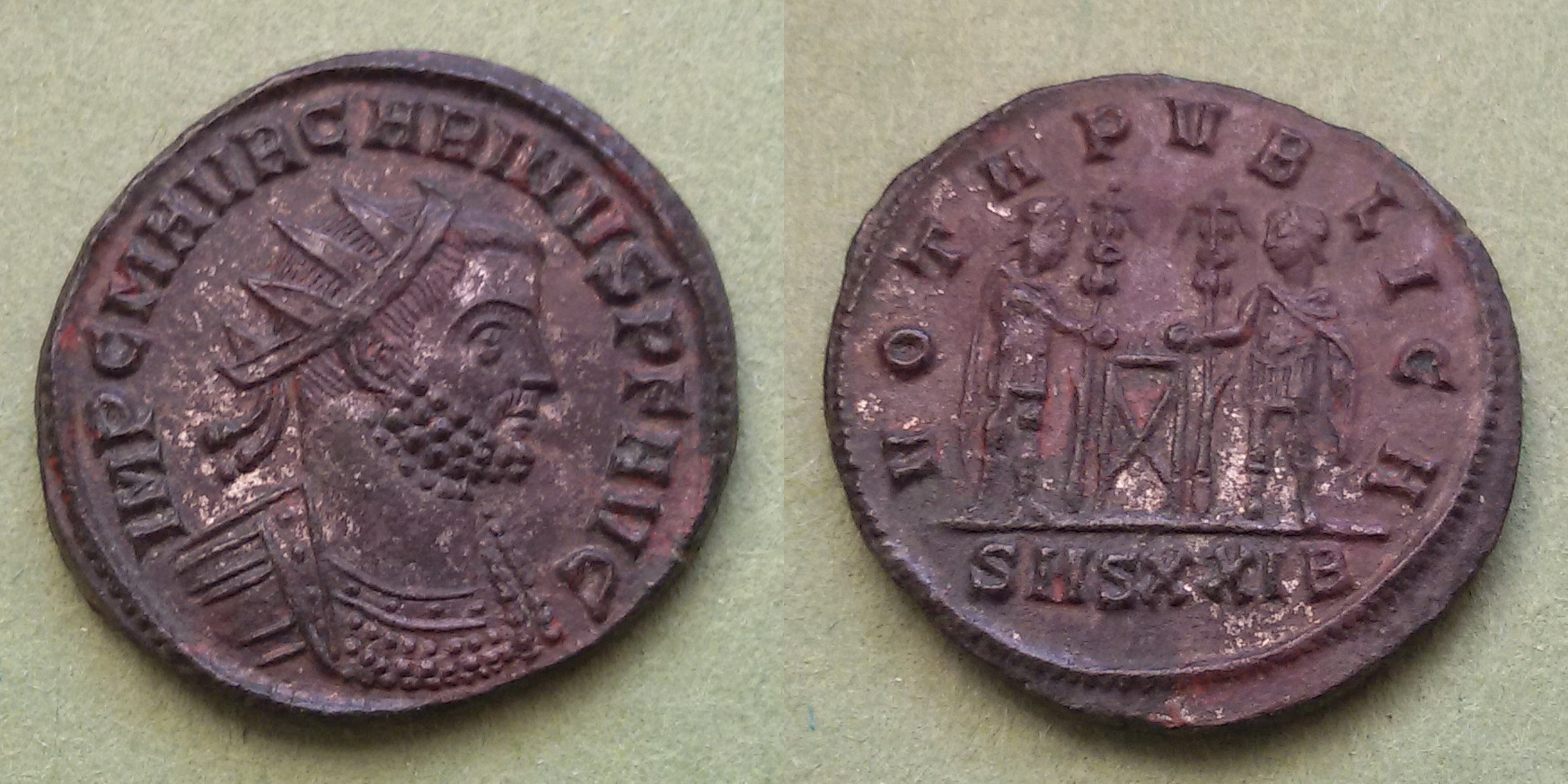 06 Carinus.jpg