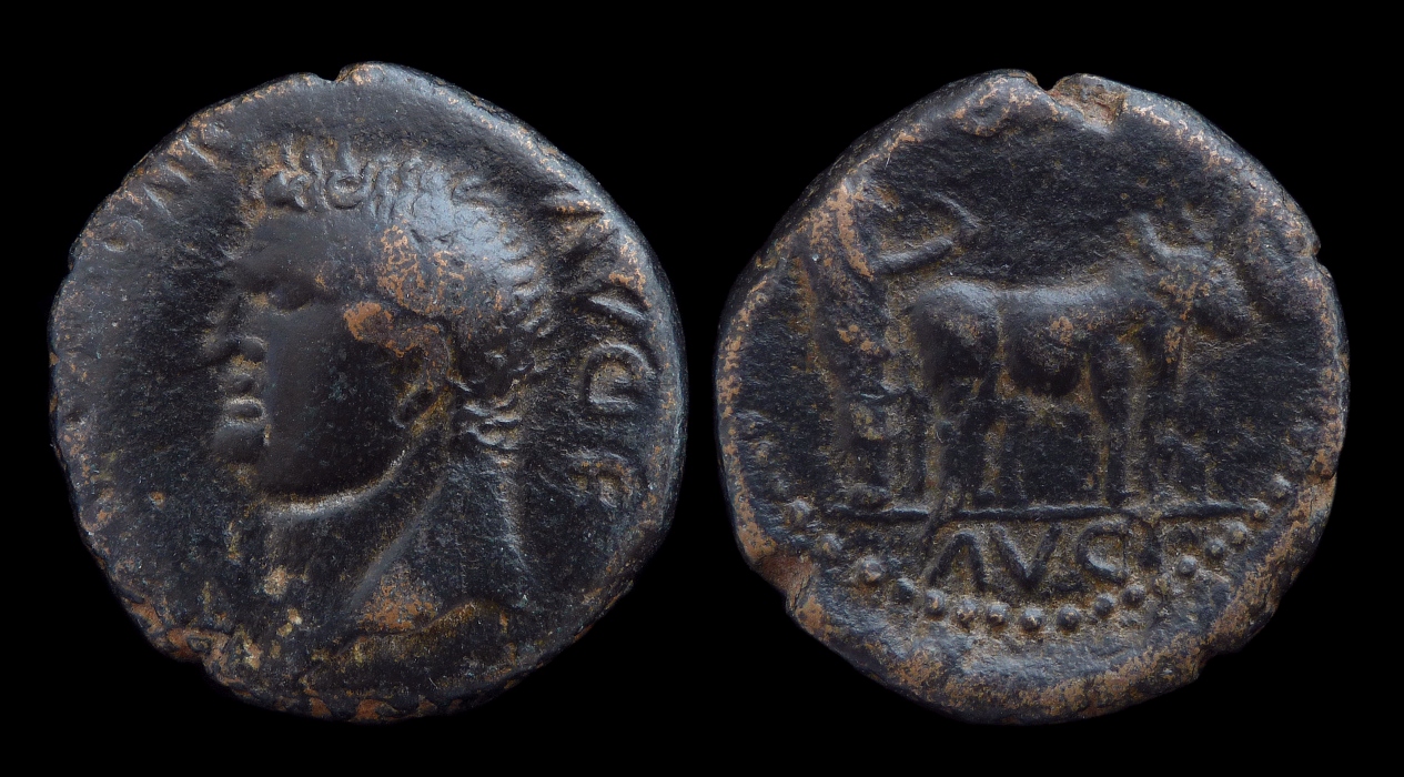 06 Titus - x6 Phoenicia Berytus AE25 2590.jpg