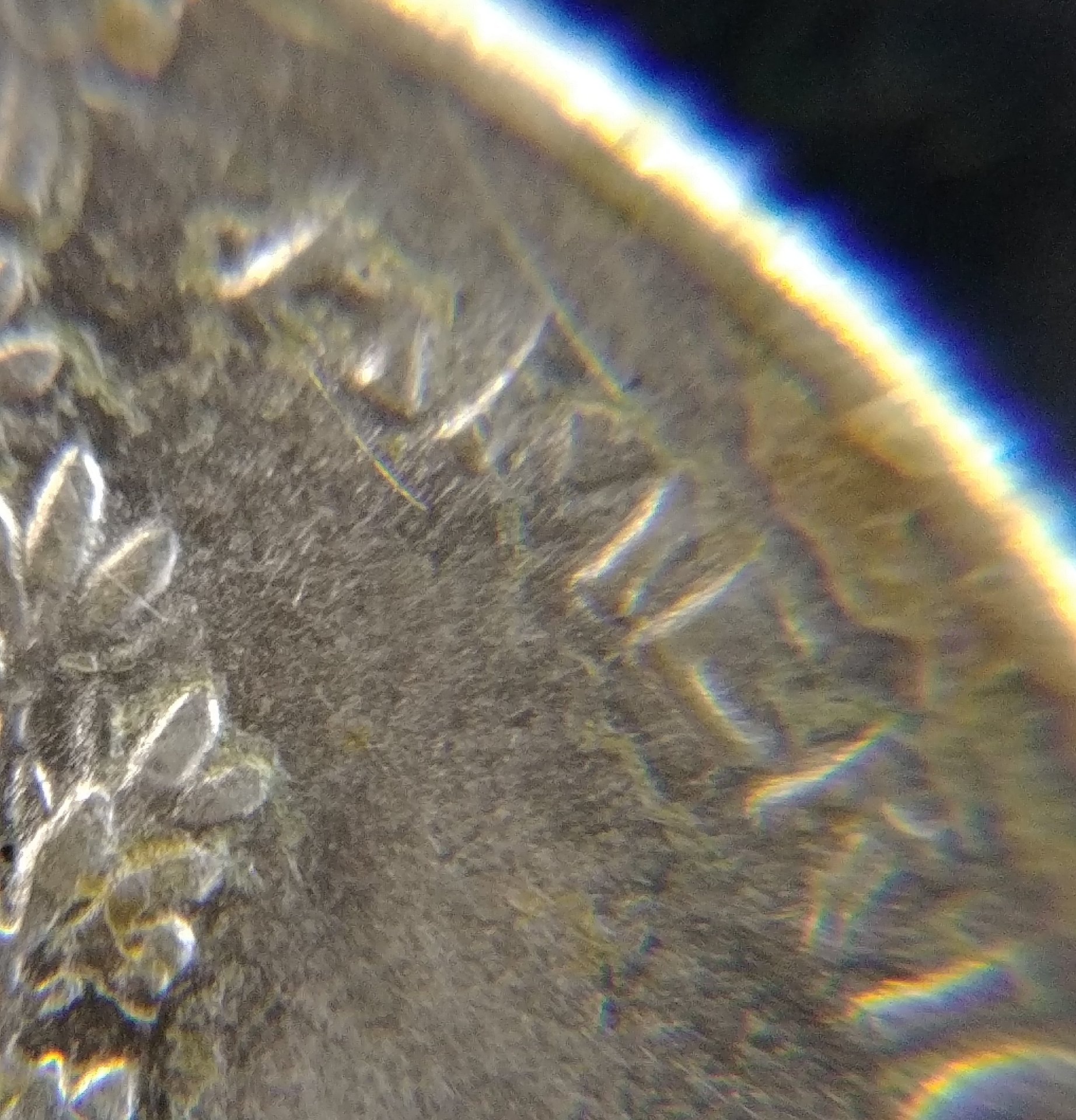 0602181311.jpg