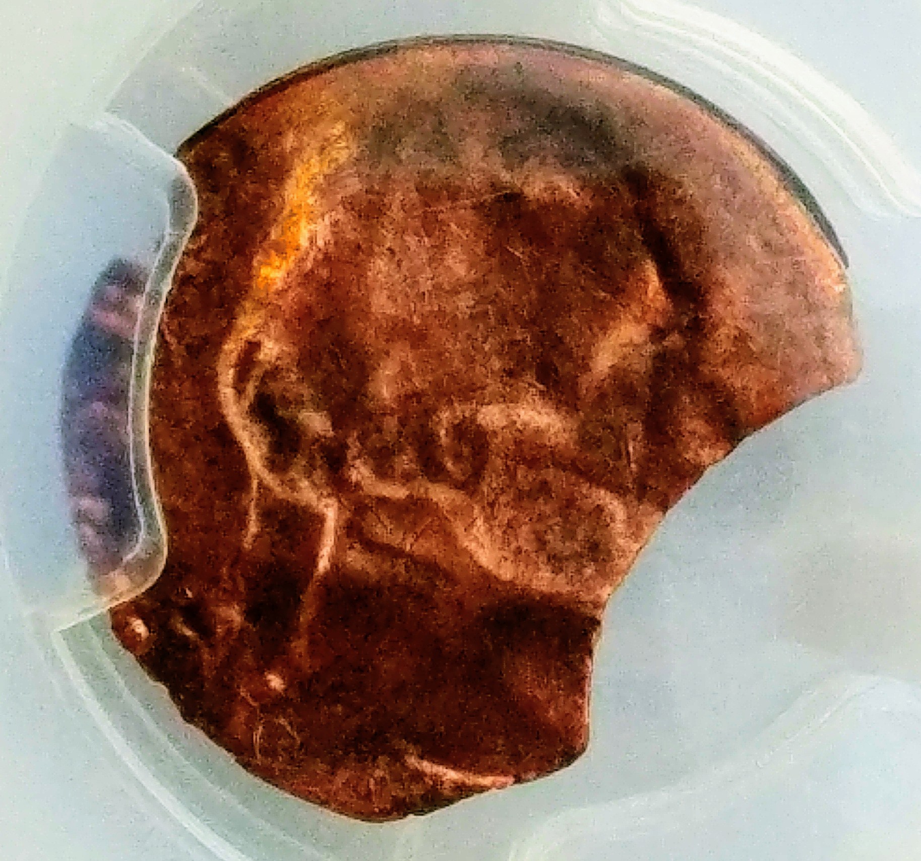 0626181823_HDR.jpg