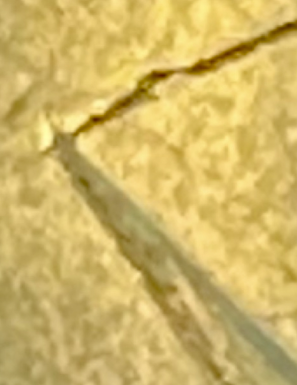 068D4E96-24F4-43B7-BA65-14A3E0958135.jpeg
