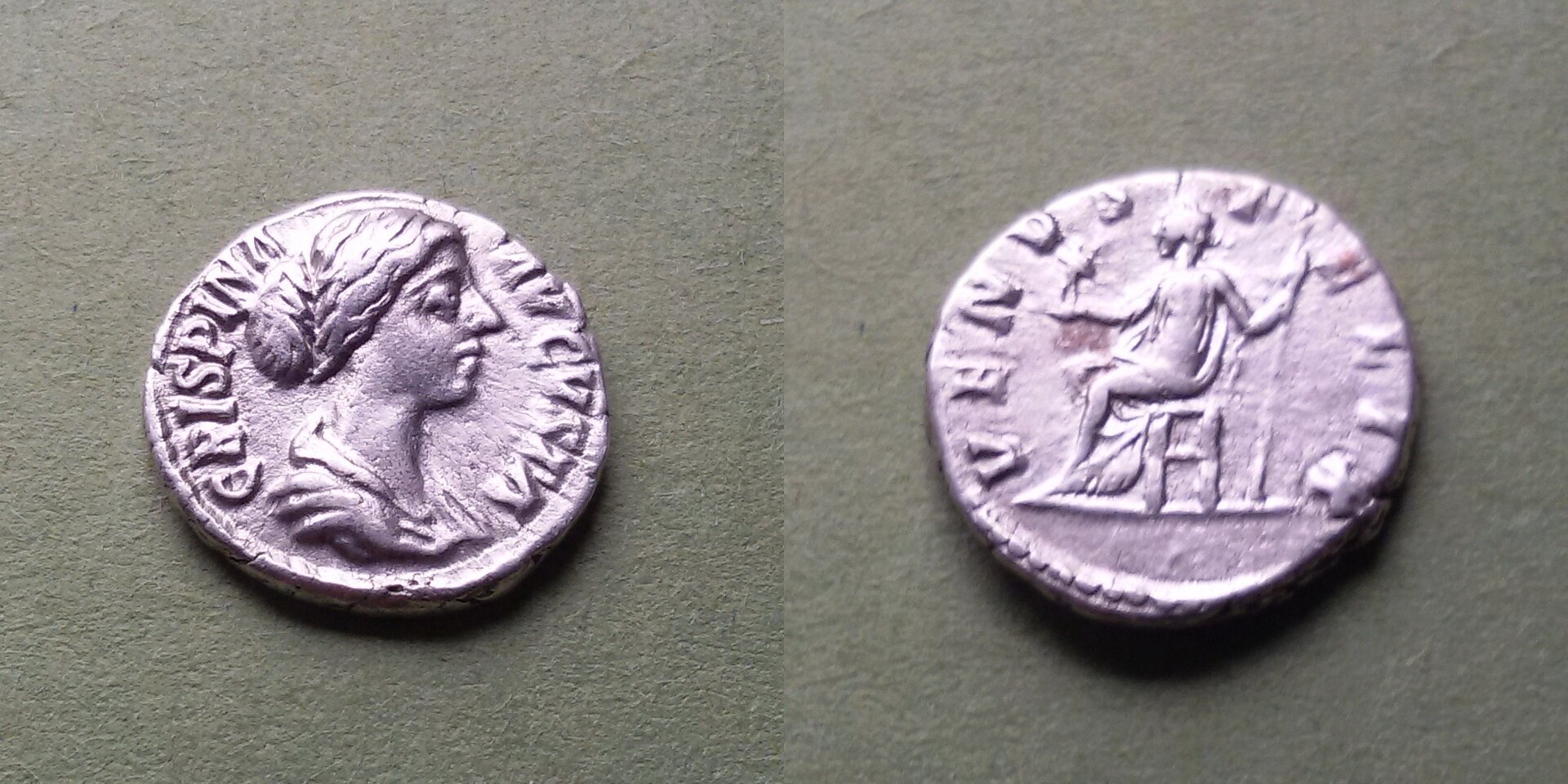 07 Crispina.jpg