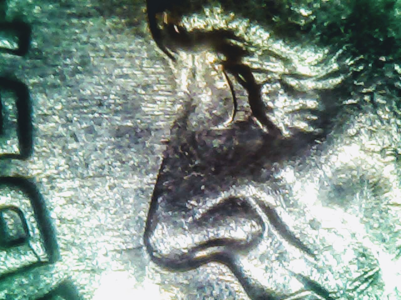 0728-11.jpg
