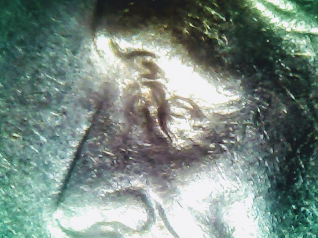 0728-17.jpg