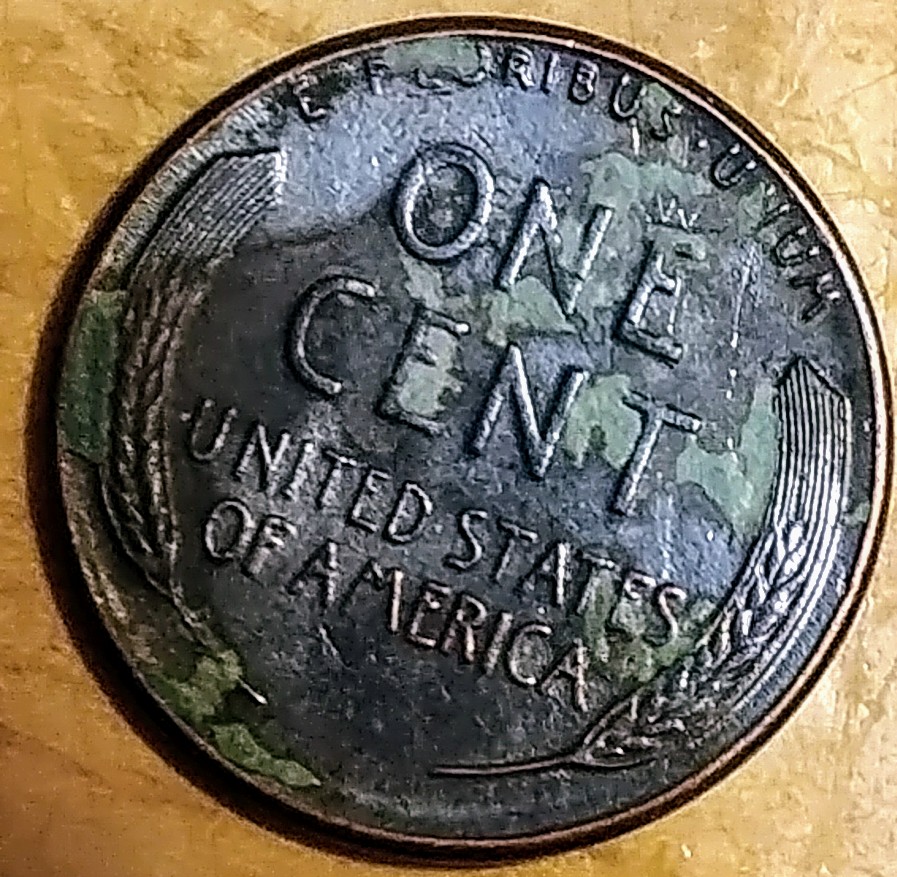 0728172217a.jpg