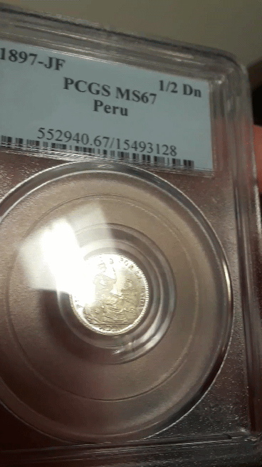 08-PeruHalfDinero-GIF.gif