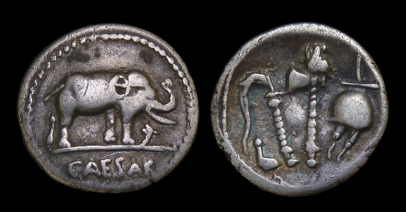 08 RR Julius Caesar - Elephant Ex Kelly 2987.jpg