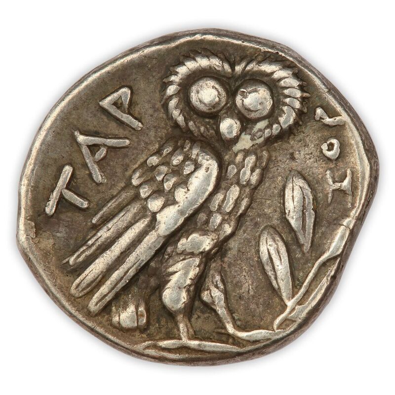 08-TarasOwl-rev.jpg