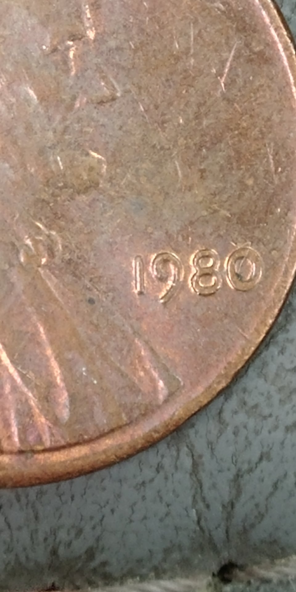 0801181113b.jpg