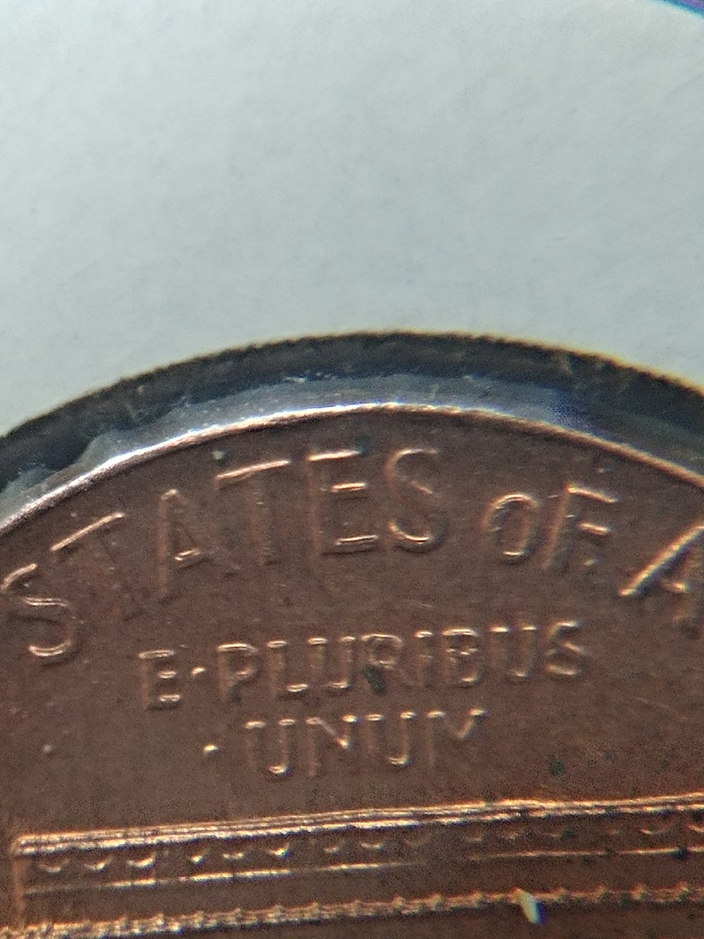 0803170205d_HDR.jpg