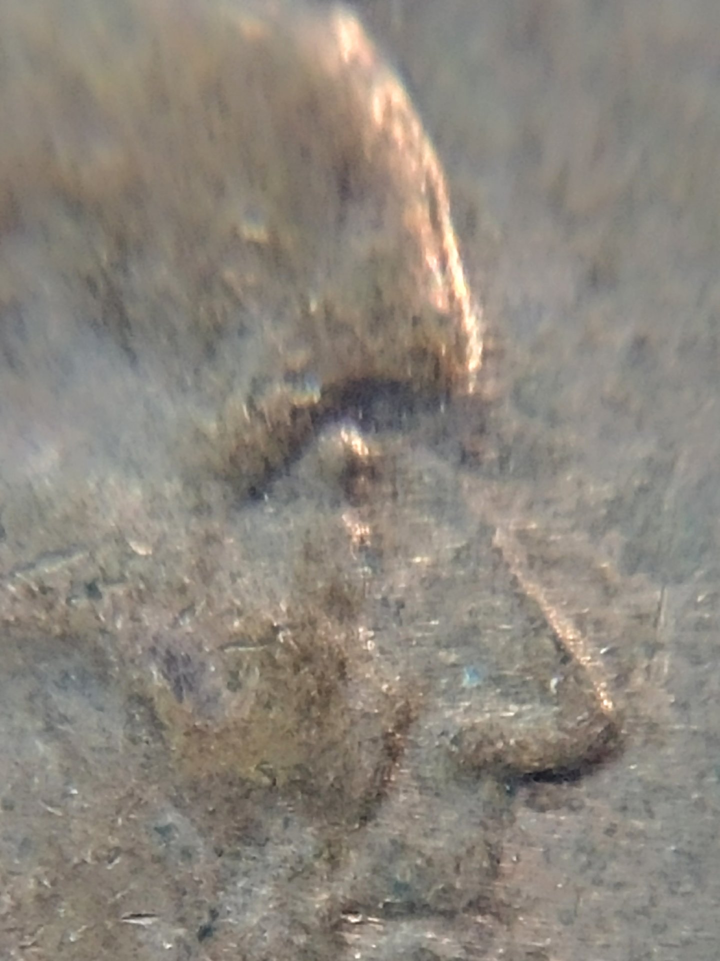 0803171214a_HDR.jpg