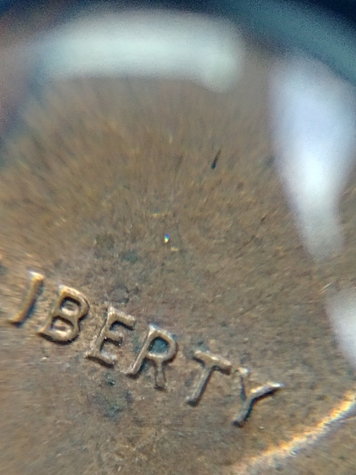 0803171224l_HDR.jpg