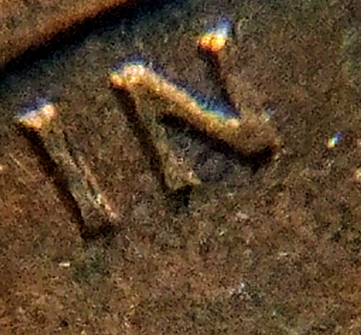 0803171225e_HDR.jpg