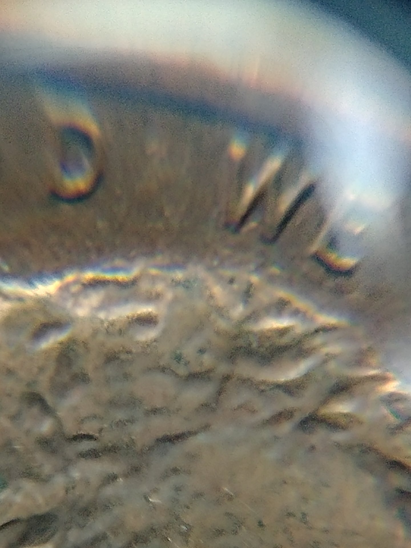 0803171225g_HDR.jpg