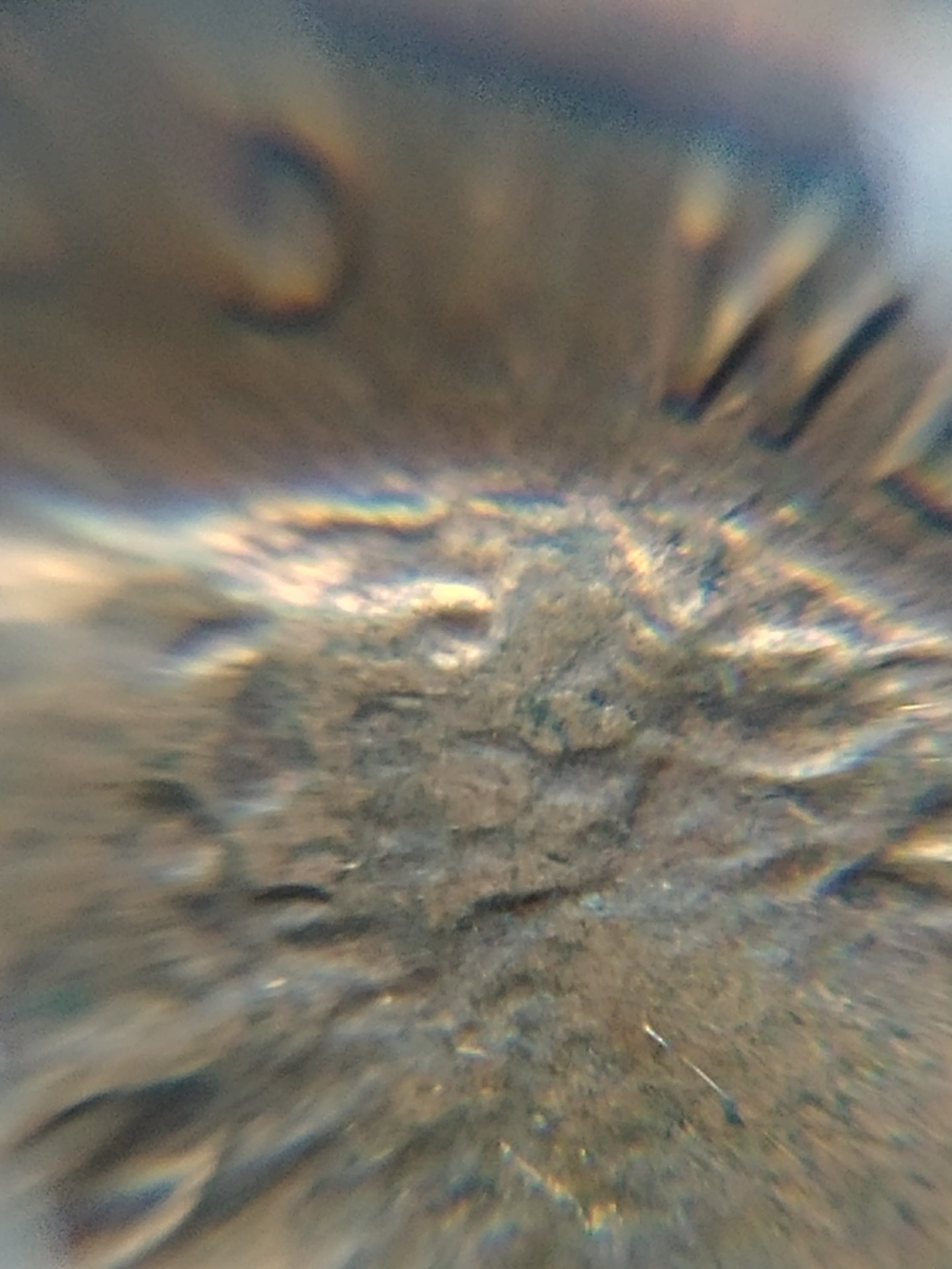 0803171225j_HDR.jpg
