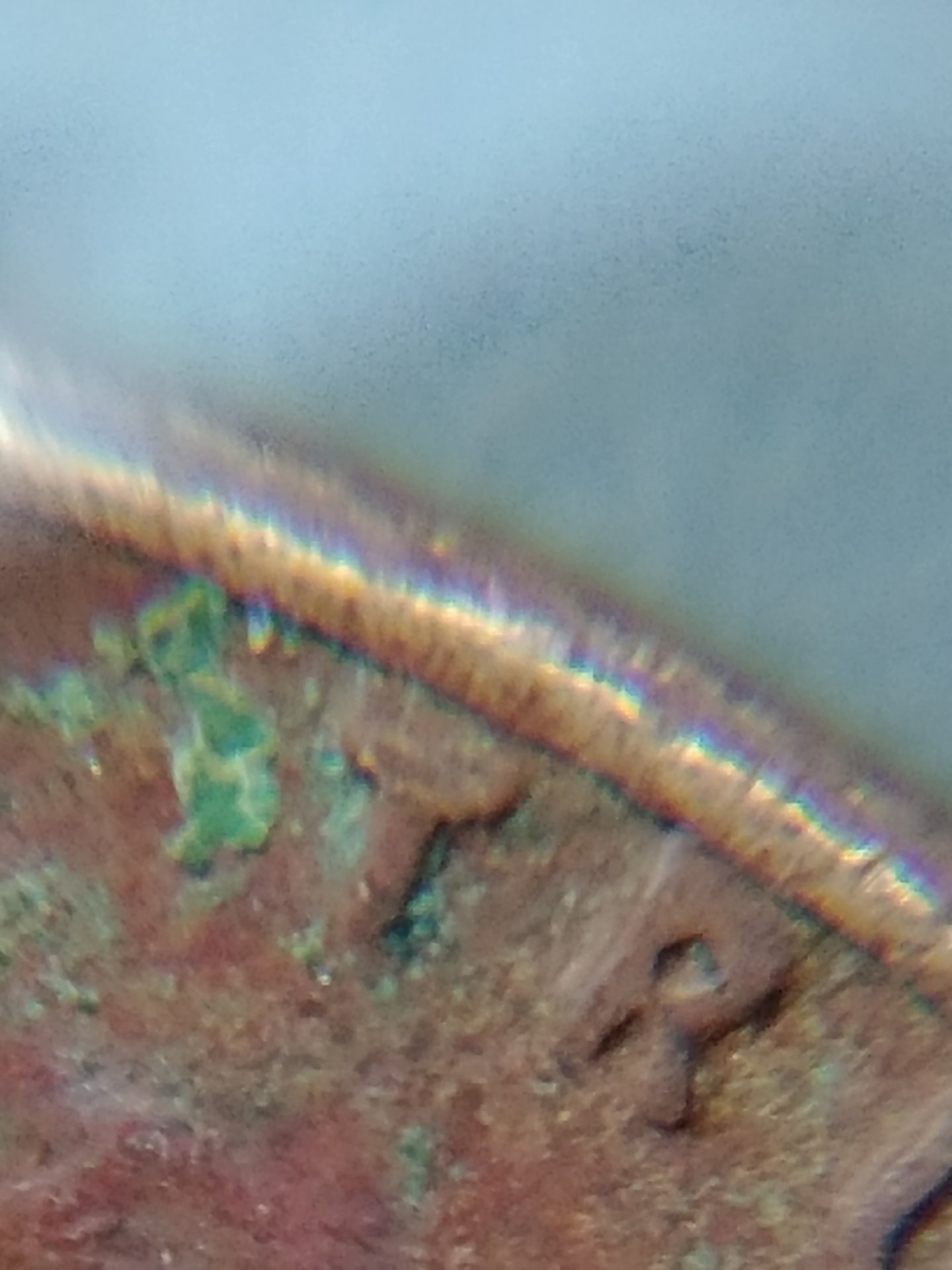 0803171837b_HDR.jpg