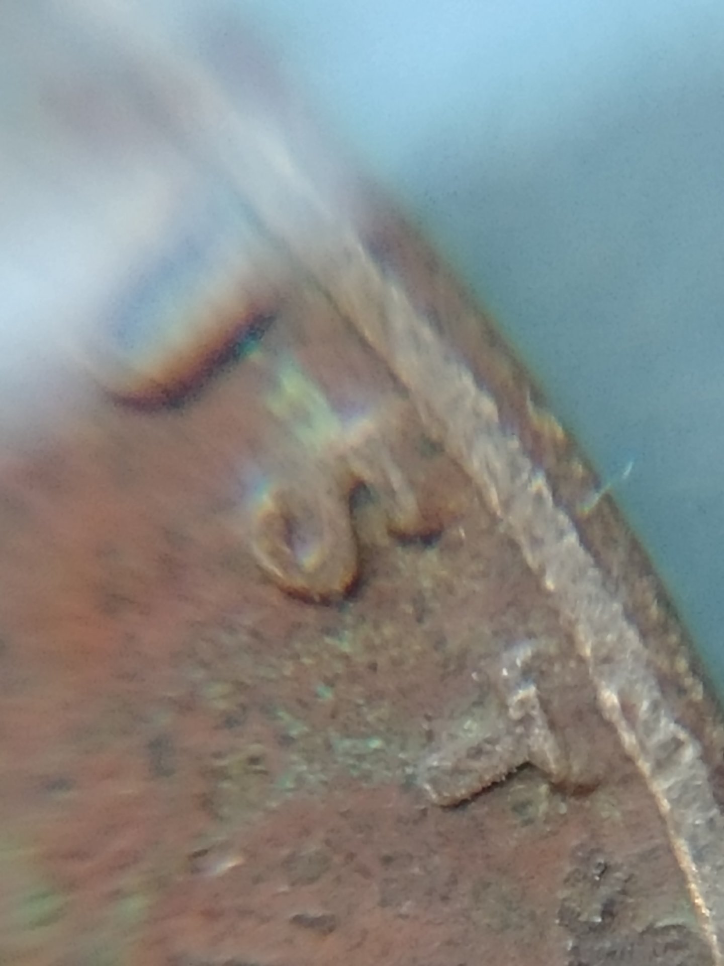 0803171837d_HDR.jpg
