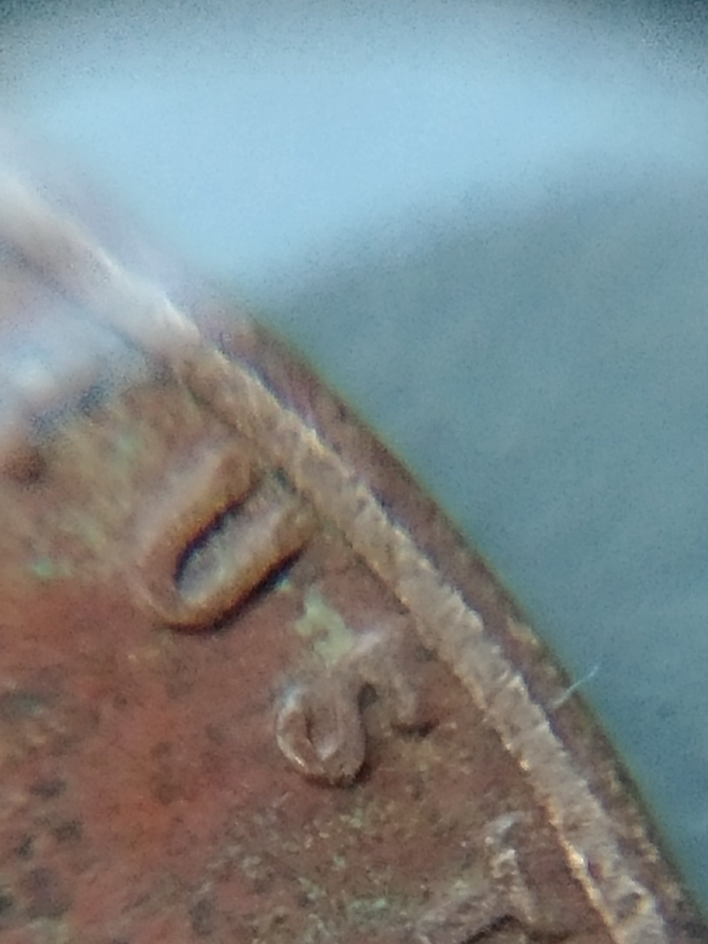 0803171837e_HDR.jpg
