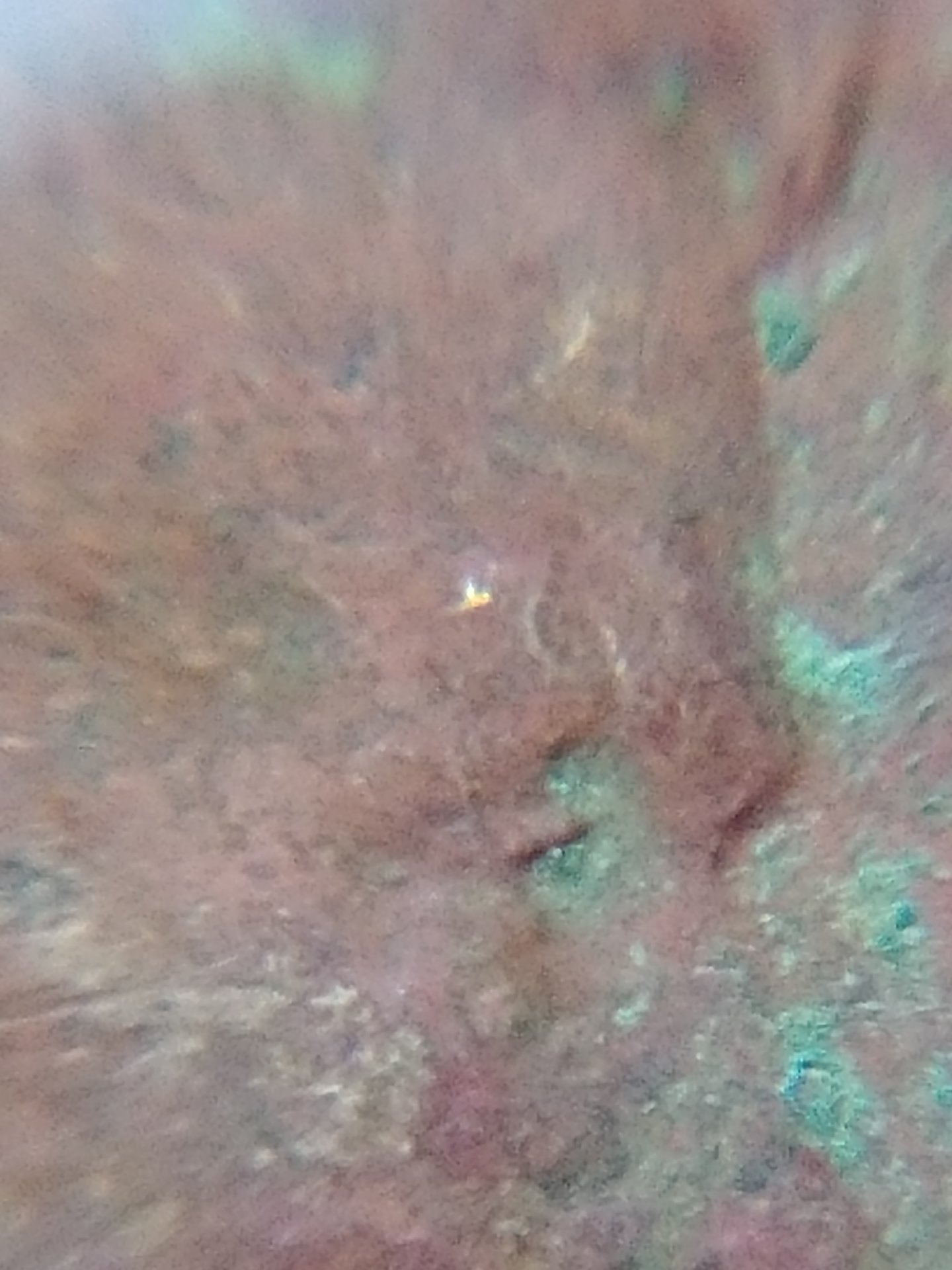 0803171838_HDR.jpg