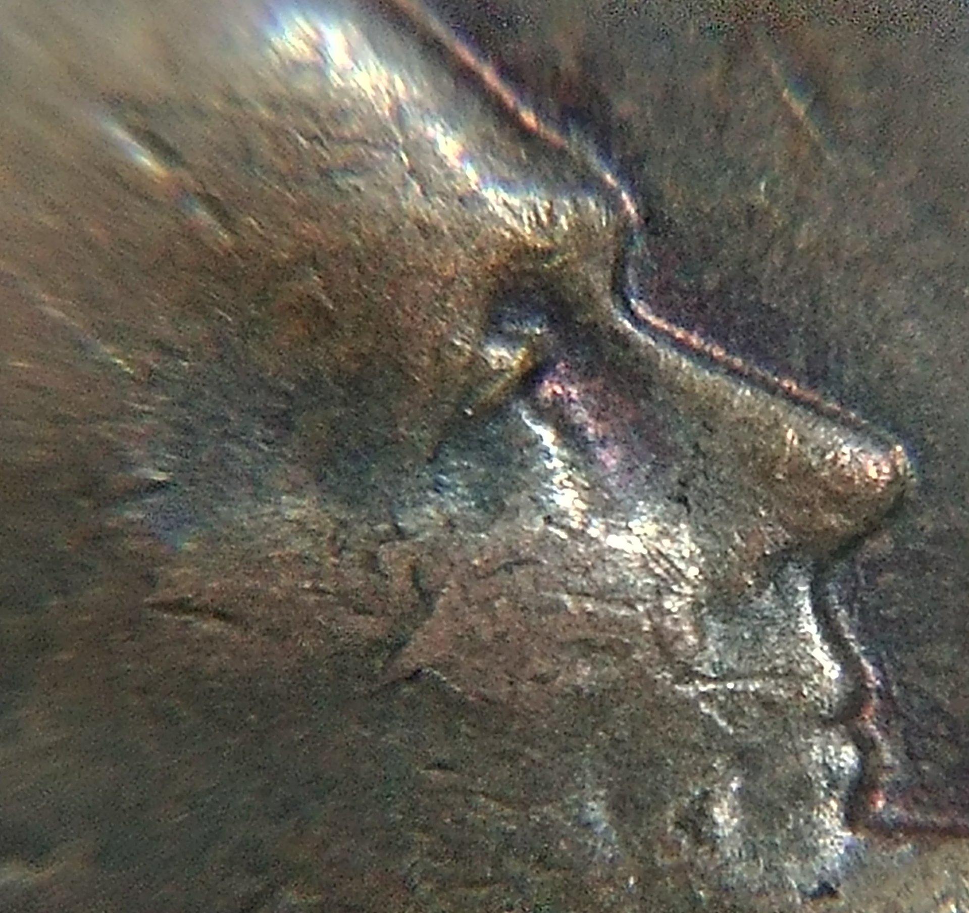 0804170652_HDR.jpg