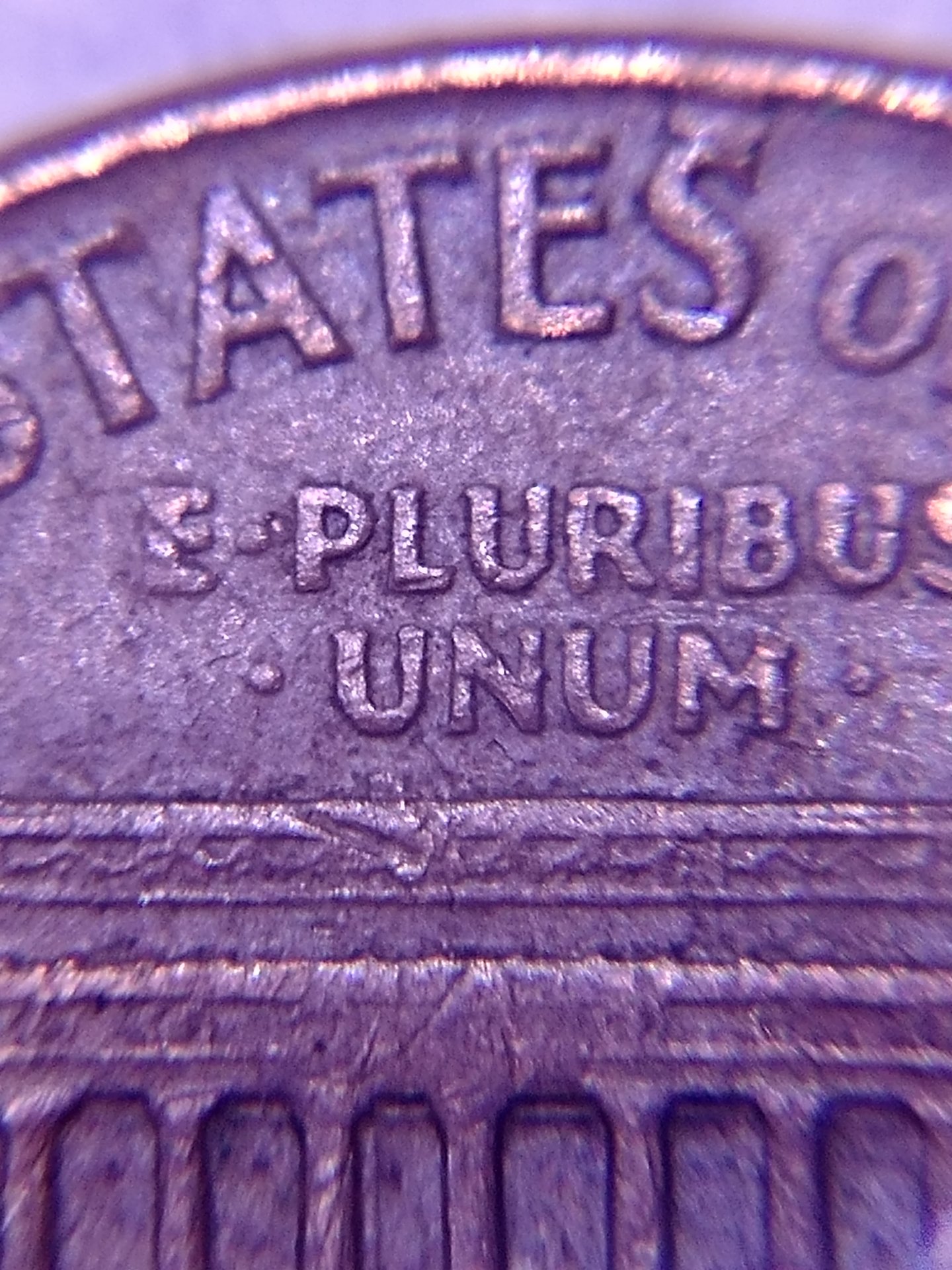 0804170708_HDR.jpg