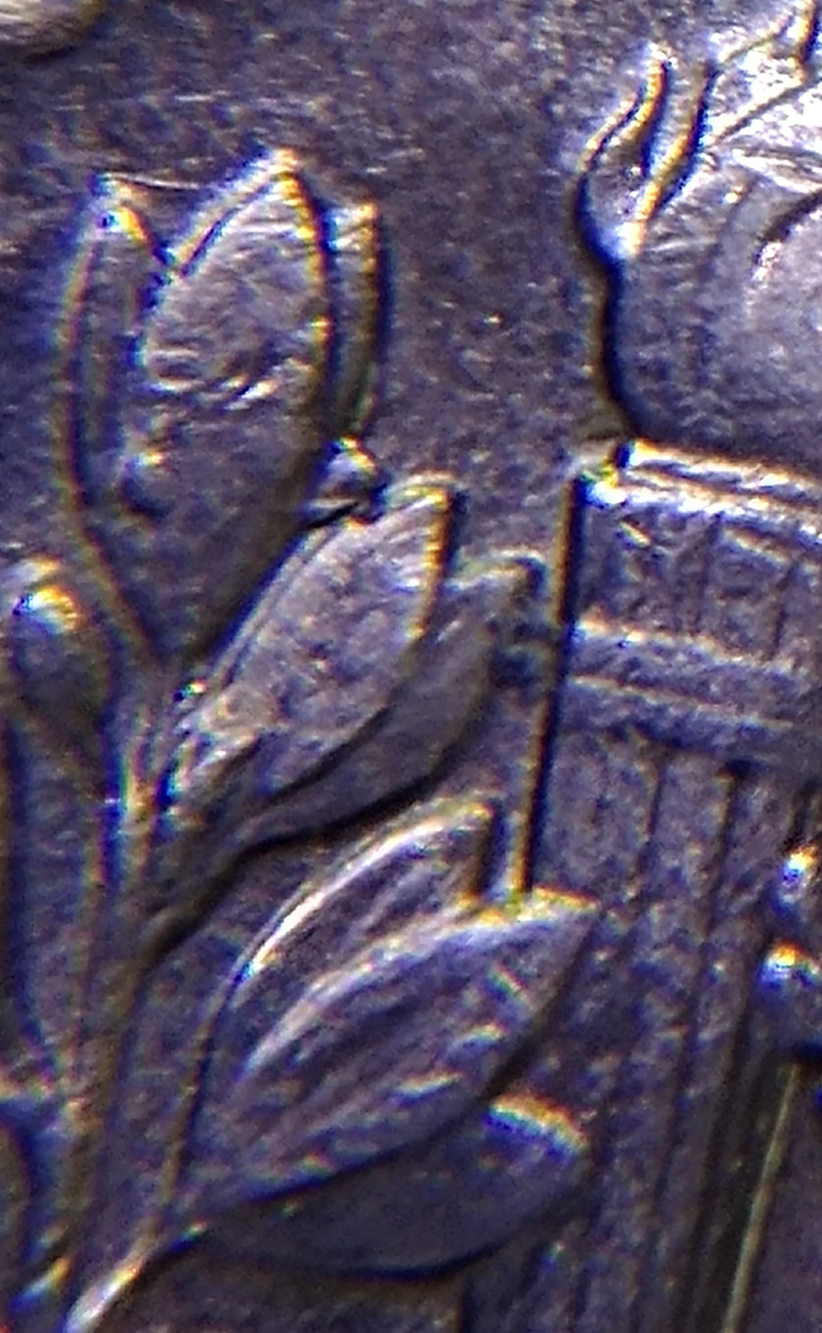 0805171108e_HDR.jpg